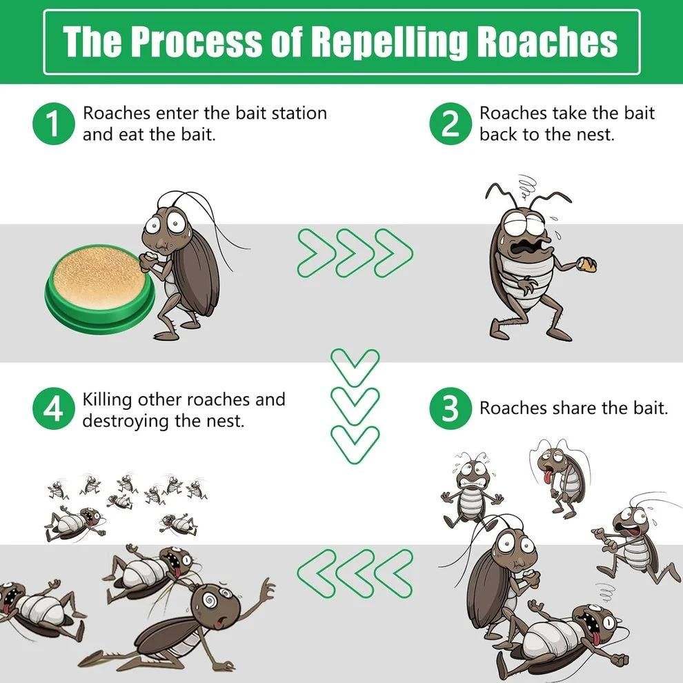 RoachGone Pro Roach Killer Bait | Cockroach Killer 🪳🚫