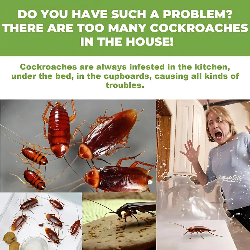 RoachGone Pro Roach Killer Bait | Cockroach Killer 🪳🚫